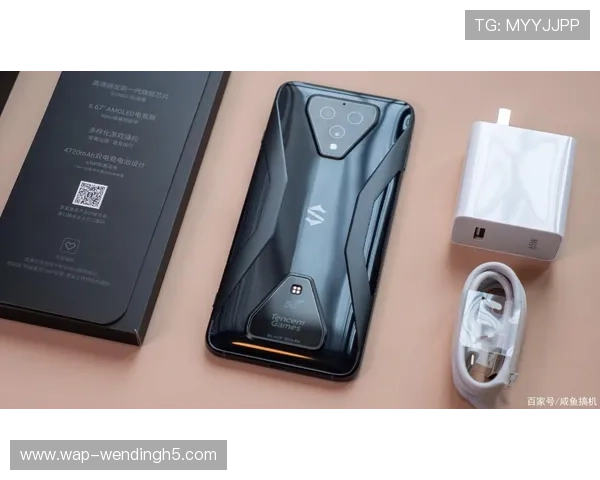 问鼎wd28游戏下载链接官方渠道推荐，避免虚假网站保障账号安全