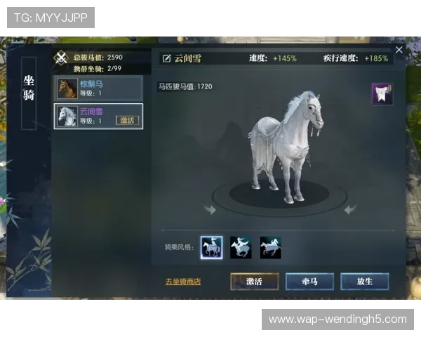 问鼎登录入口网页版安全保障措施详解，确保玩家账号信息安全的实用技巧